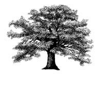 Doire Press Connemara