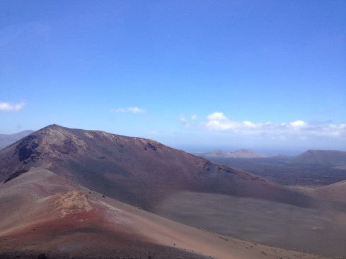 Even the desert has Internet