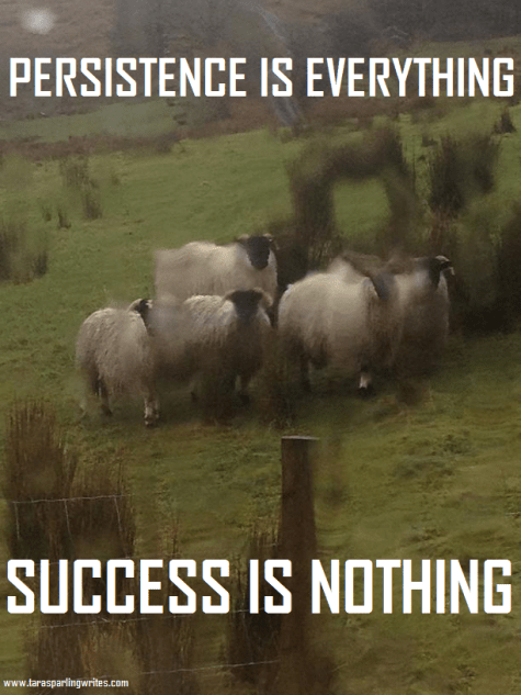 The School For Spammers