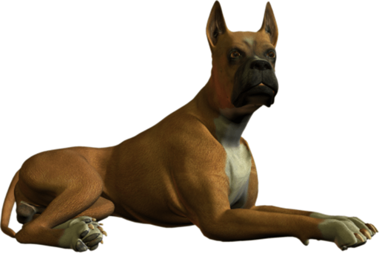 How to Write A Book Blurb Part 3