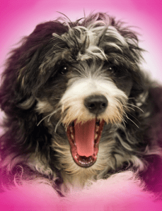 How I Learned To Cure My Anxiety With A Classic Smoky Eye