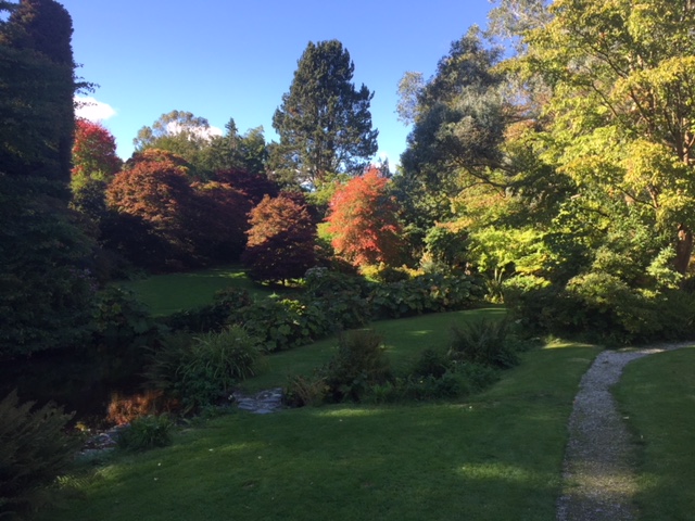 Light and Shade: The Key To Writing Success